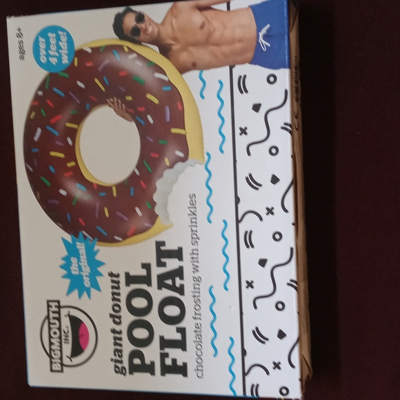 Pool Float - Picture 2 of 4